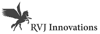 RVJ INNOVATIONS