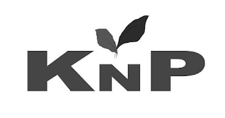KNP