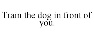 TRAIN THE DOG IN FRONT OF YOU.