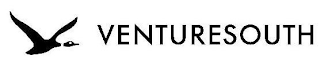 VENTURESOUTH