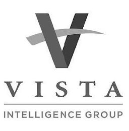 V VISTA INTELLIGENCE GROUP