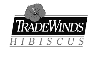 TRADEWINDS HIBISCUS