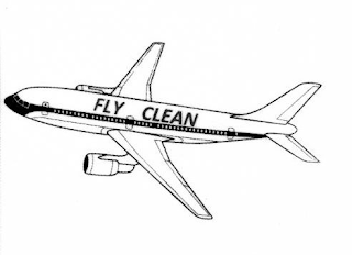 FLY CLEAN
