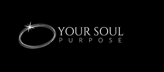 YOUR SOUL PURPOSE