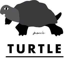 TURTLE