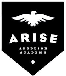 ARISE ADOPTION ACADEMY