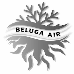 BELUGA AIR