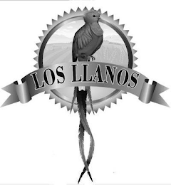 LOS LLANOS