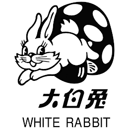 WHITE RABBIT