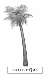 CAIRO PALMS