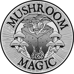 MUSHROOM MAGIC