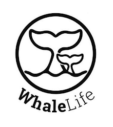 WHALELIFE