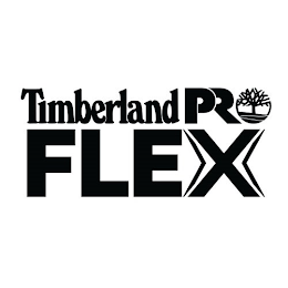 TIMBERLAND PRO FLEX