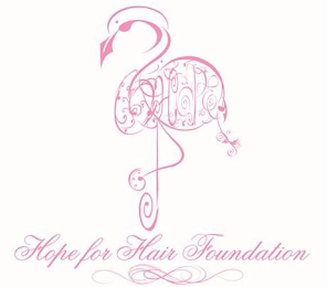 HOPE FOR HAIR FOUNDATION