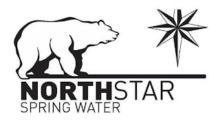 NORTHSTAR SPRING WATER