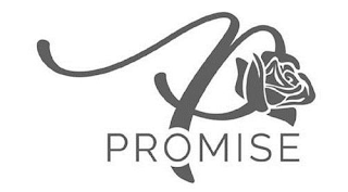 PROMISE P