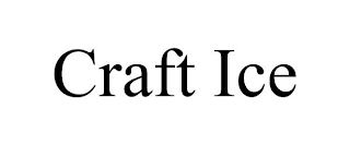 CRAFT ICE