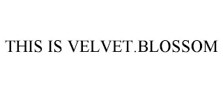 THIS IS VELVET.BLOSSOM