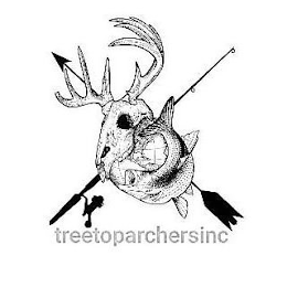 TREETOPARCHERSINC