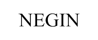 NEGIN