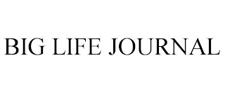 BIG LIFE JOURNAL