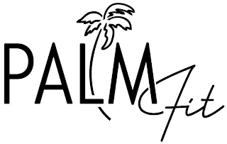 PALM FIT