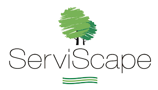 SERVISCAPE