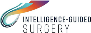 INTELLIGENCE-GUIDED SURGERY