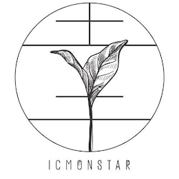 ICMONSTAR