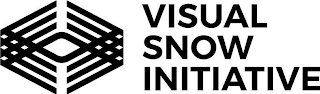 VISUAL SNOW INITIATIVE