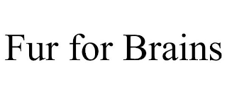 FUR FOR BRAINS