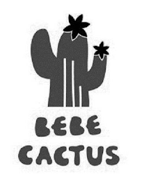 BEBE CACTUS