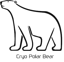 CRYO POLAR BEAR