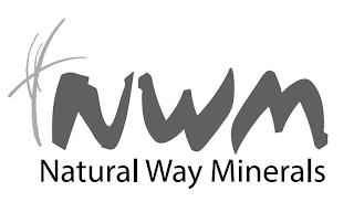 NWM NATURAL WAY MINERALS