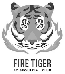 FIRE TIGER BY SEOULCIAL CLUB