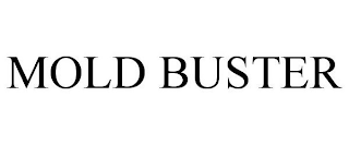 MOLD BUSTER