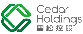 CEDAR HOLDINGS