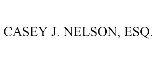 CASEY J. NELSON, ESQ.