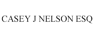 CASEY J NELSON ESQ