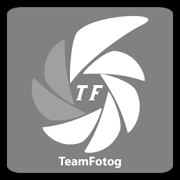 TF TEAMFOTOG