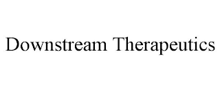 DOWNSTREAM THERAPEUTICS