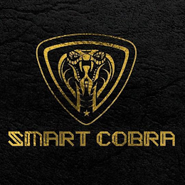 SMART COBRA