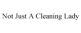 NOT JUST A CLEANING LADY