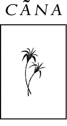 CÃNA