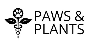 PAWS & PLANTS