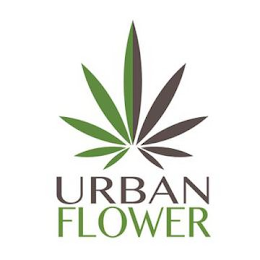 URBAN FLOWER