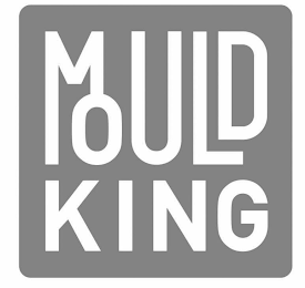 MOULD KING