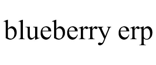 BLUEBERRY ERP