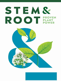 STEM & ROOT PROVEN PLANT POWER