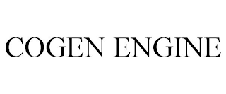 COGEN ENGINE